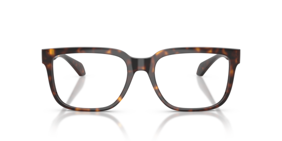 VE3377U Versace Havana