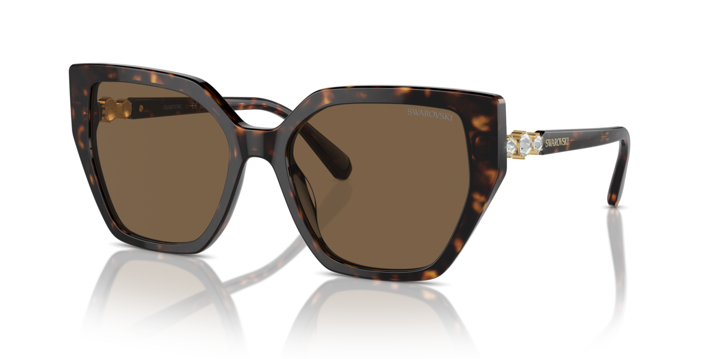 Swarovski SK6016 Dark Havana