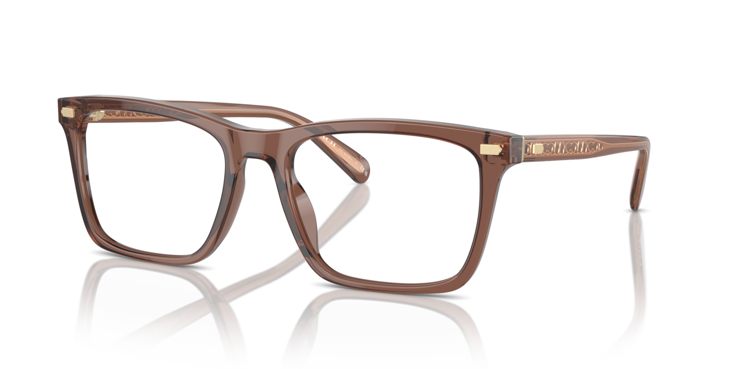 Coach HC6238U Transparent Pecan