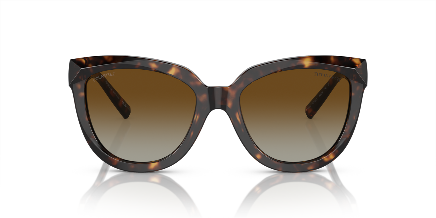 Sunglasses Tiffany TF4215 | Free Shipping | Glasses.com®