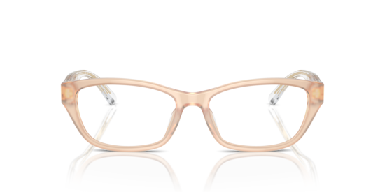 EA3238U Emporio Armani Shiny Opaline Tundra