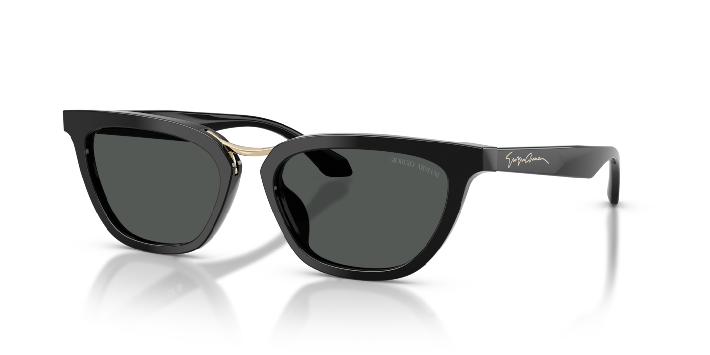 Giorgio Armani AR8253U Black