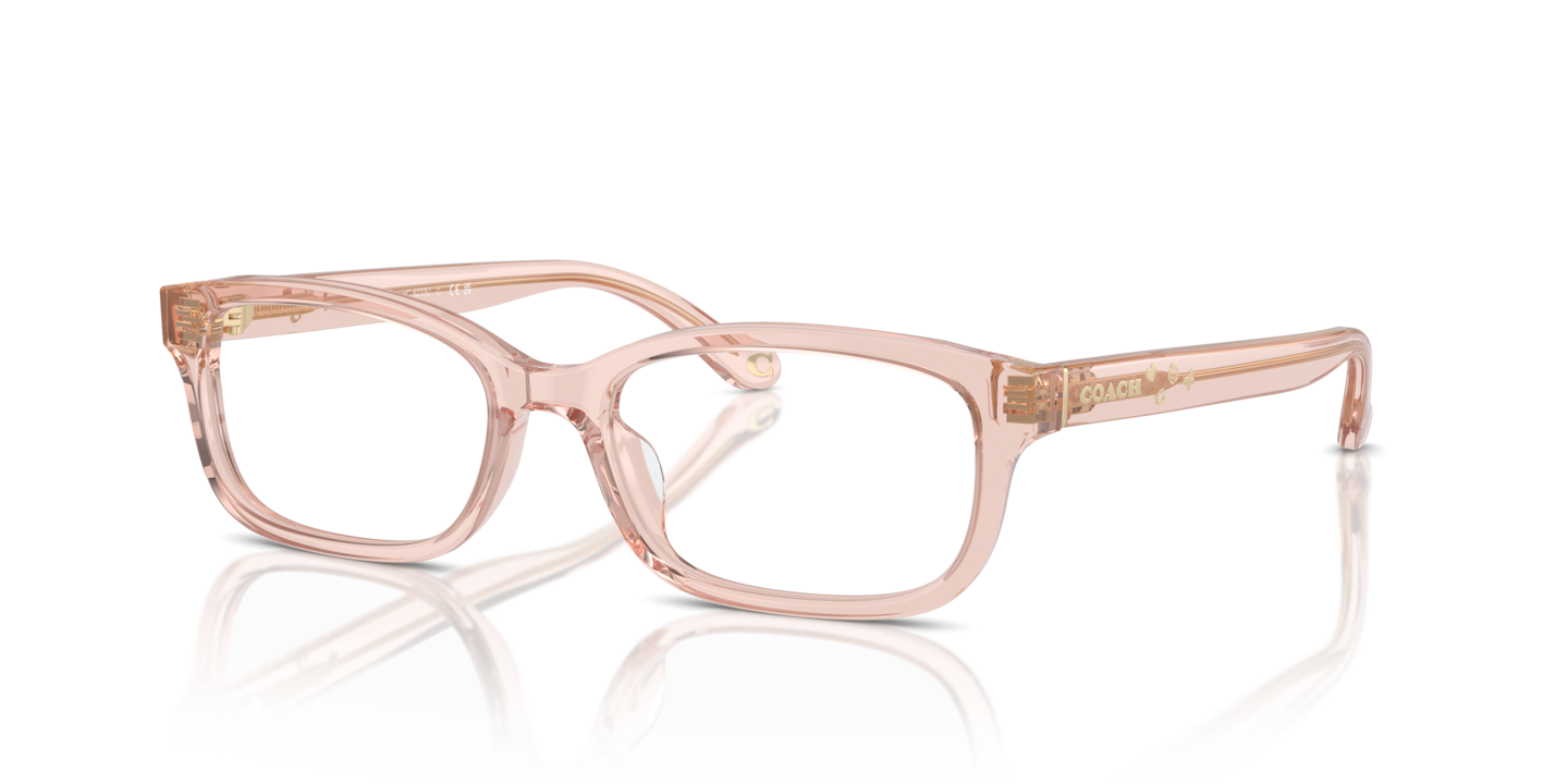 Coach HC6233U Transparent Dusty Rose