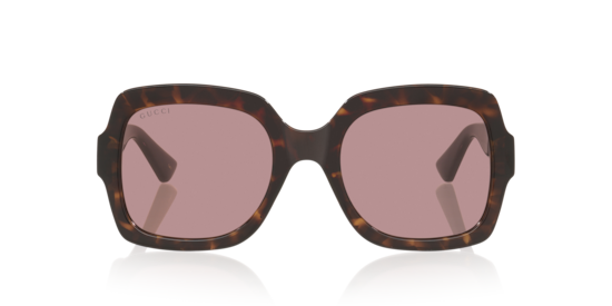GG1337S Gucci Tortoise