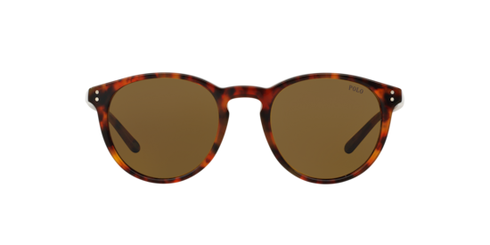 PH4110 Polo Ralph Lauren Havana