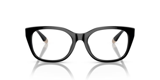 AX3099U Armani Exchange Black