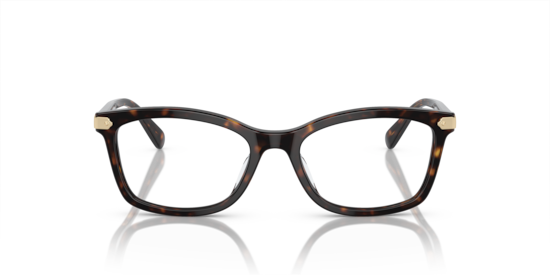 HC6219U Coach Dark Tortoise