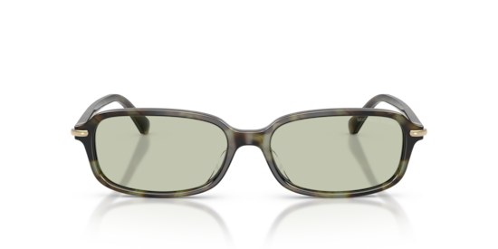 MK2288U Agra Michael Kors Sage Tortoise