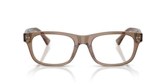 PH2317U Polo Ralph Lauren Shiny Transparent Brown Taupe