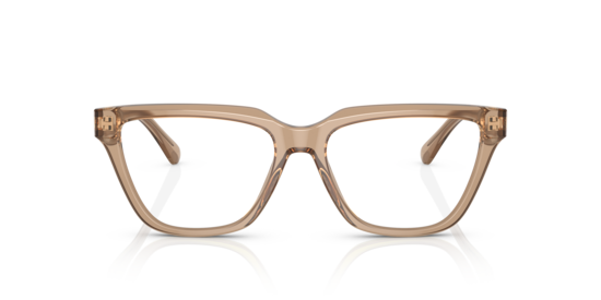 EA3208 Emporio Armani Shiny Transparent Brown